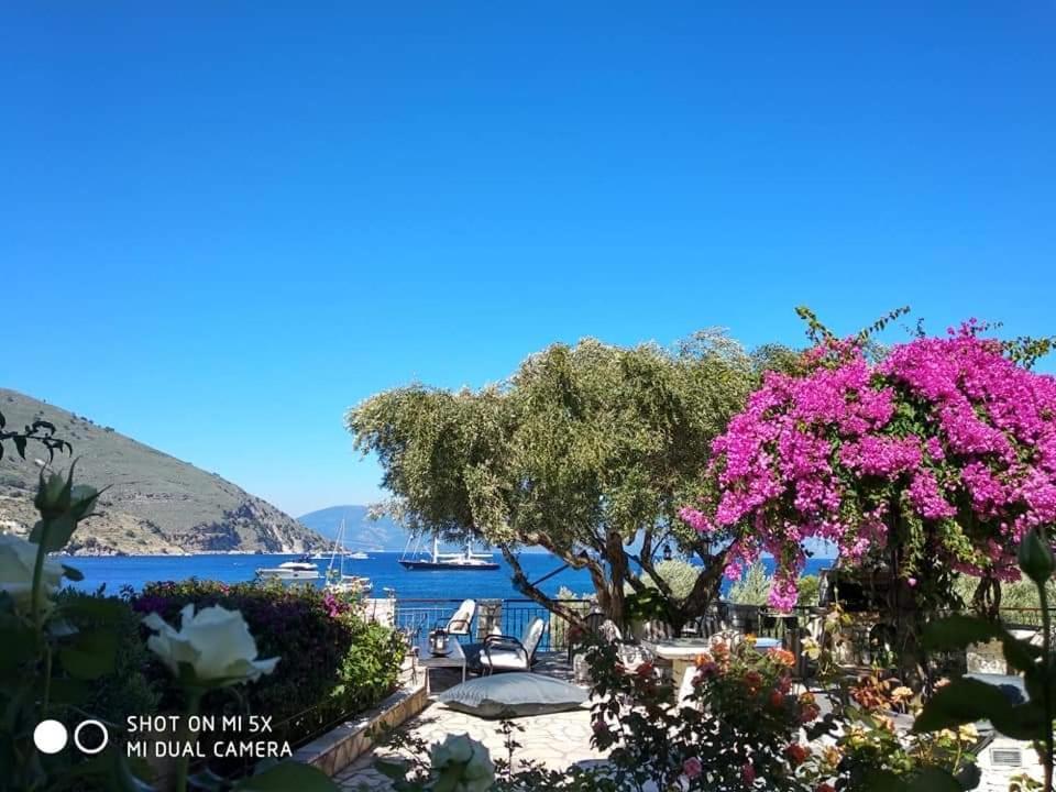 Waterside Apartments Agia Efimia Esterno foto